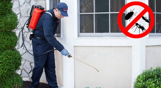 Datça Dezenfeksiyon böcek ilaçlama ve haşere kontrolü — ilaclama-tr.com